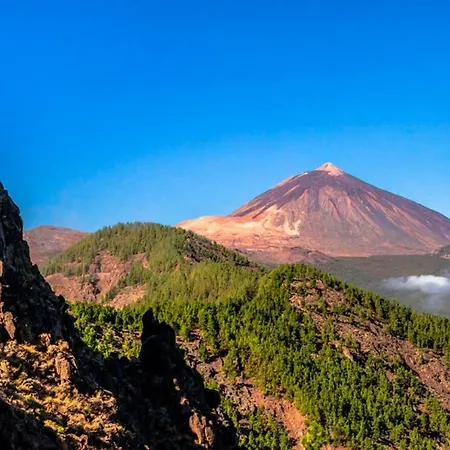 Renllon Летний дом *